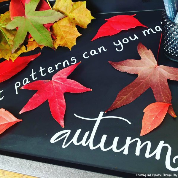 Autumn Leaf Patterns with Chalk