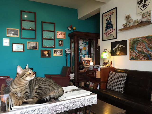 新北淡水。目目 MùMù 咖啡展覽藝文空間