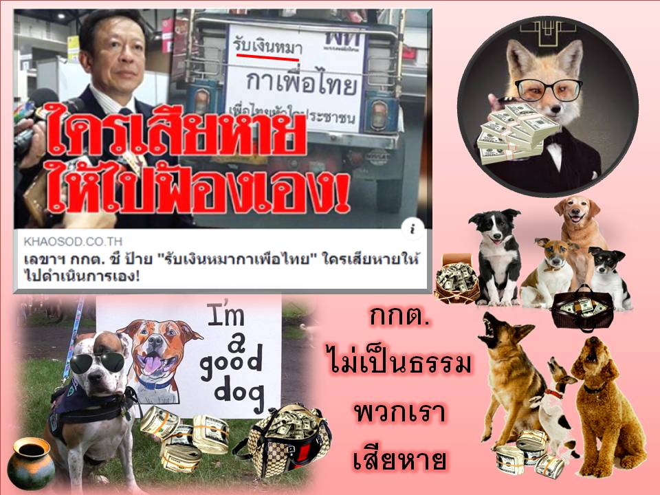 48962028_370168320436233_365551665641265