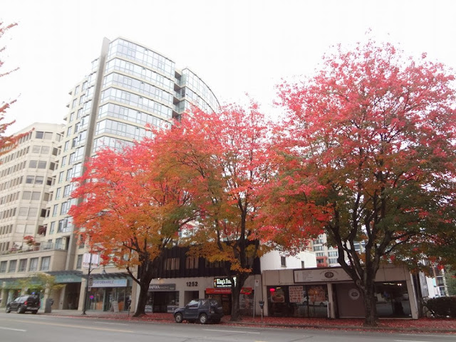 Vancouver foliage, downtown