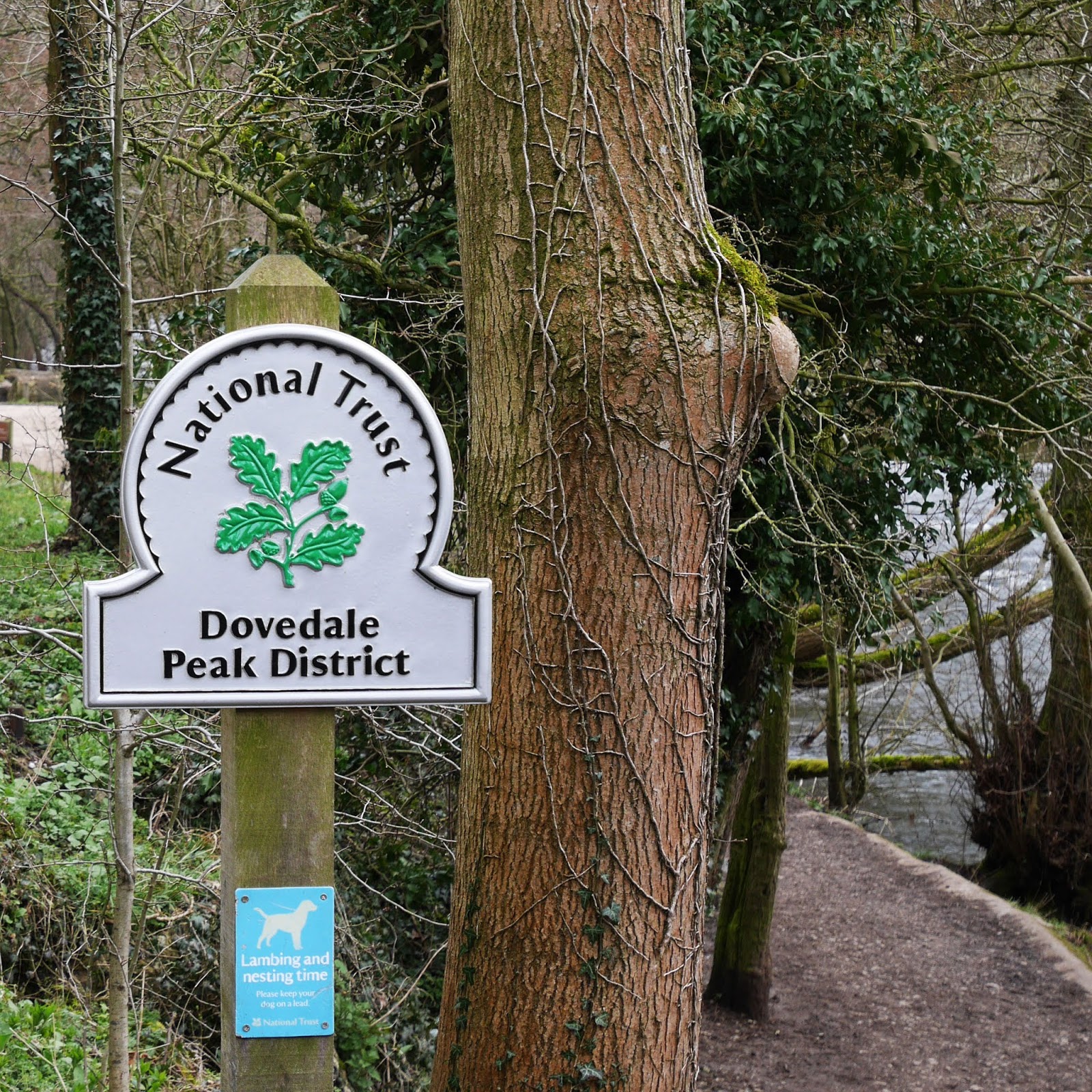 Dovedale National Trust site, Peak District National Park