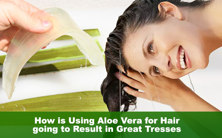 Aloe Vera Personal Care Products 15 Reasons Explain Why You Should Opt