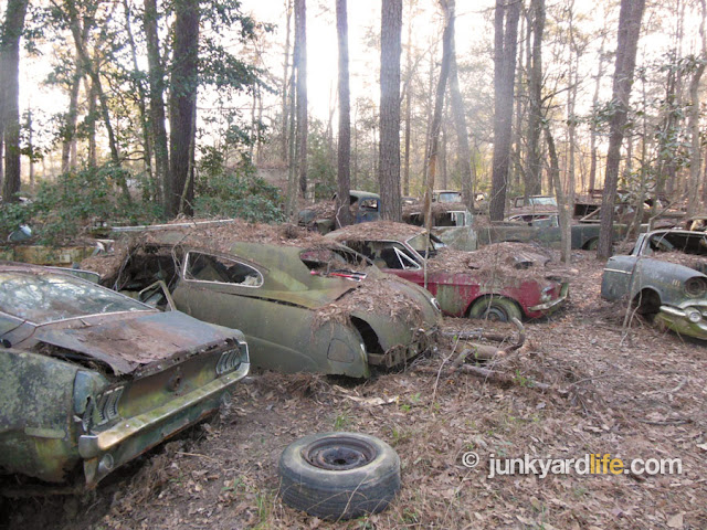 About 19 Dozen Classic Cars Near Houston A Scrap Yard Owner Left The Cars On The Property 1991 They Are All For Sale Hurry Up Some Of These Are Mighty Nice Thanks Doug Just A Car Guy