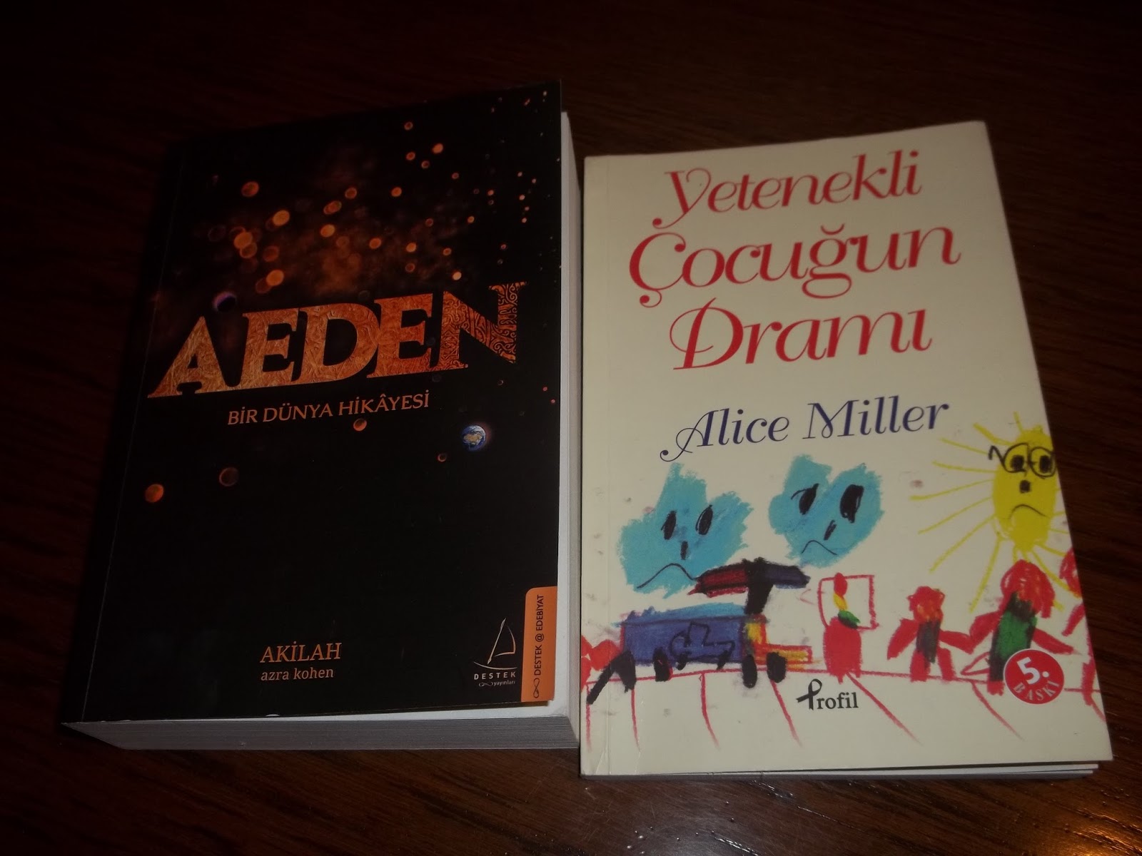 Yetenekli Cocudun Dramy Ozet