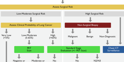Diagnosis and Staging Evaluation of Lung Cancer