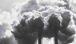 Tanaman Berpotensi Bisa Menyerap Polutan