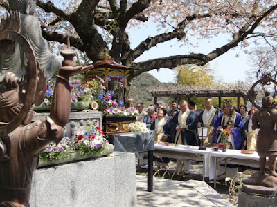 鎌倉：長谷寺の花まつり