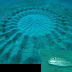 JAPAN'S UNDERWATER CROP CIRCLE WAS MADE BY A TINY PUFFERFISH