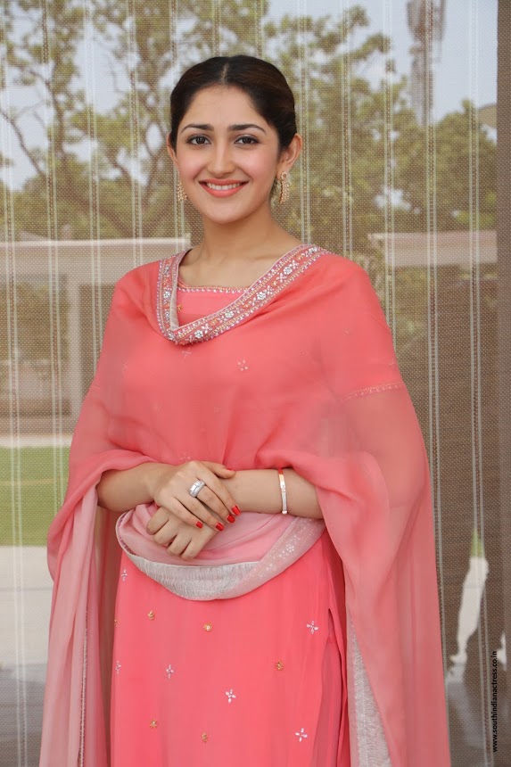 Sayyeshaa Saigal at Kadaikutty Singam Success Meet