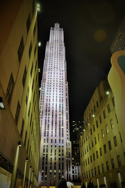 _DSC0809%2B%25282%2529.JPG