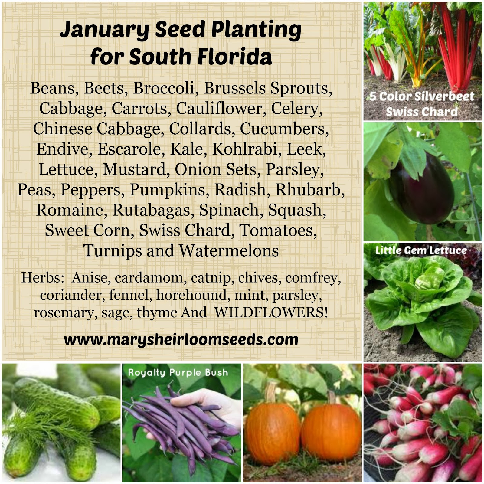 Back To The Basics 2017 Planting Guide January Seed In 2017 Planting Guide January Seed In South Florida