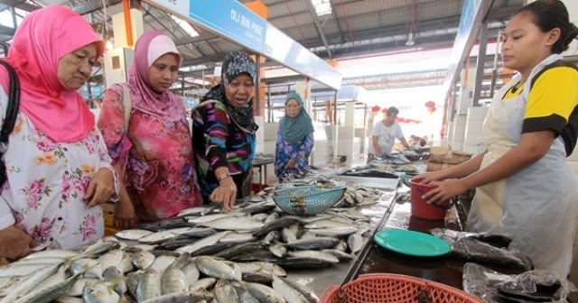 Arti Mimpi Dapat Ikan Menurut Islam Turut Islam