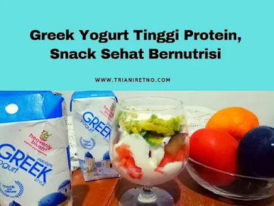 Greek yogurt tinggi protein