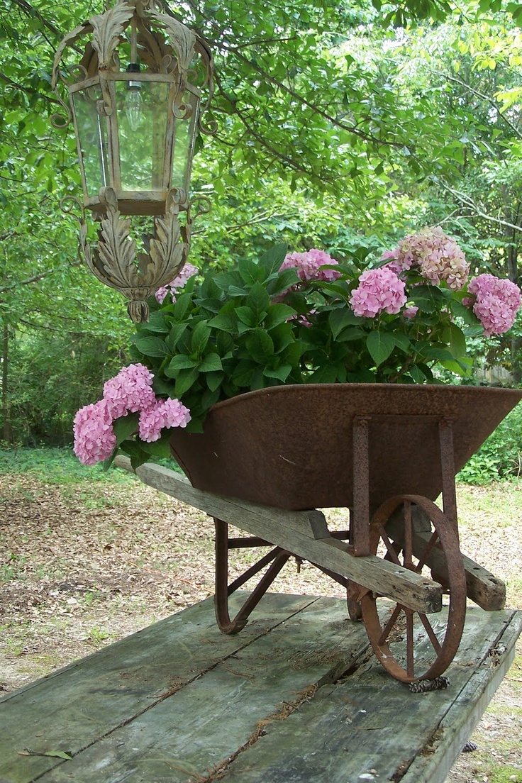 Old wheelbarrow as a planter | Outdoor Areas