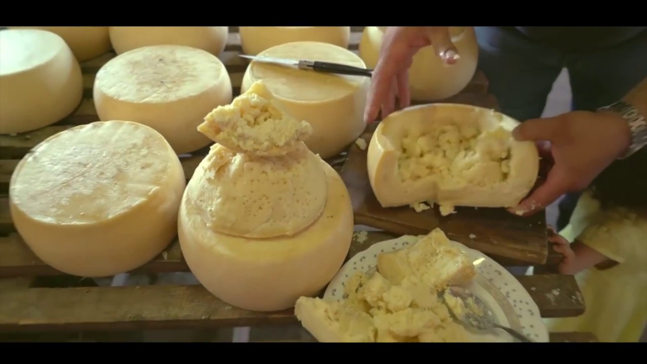 Illegal Cheese, Casu Marzu MyRokan