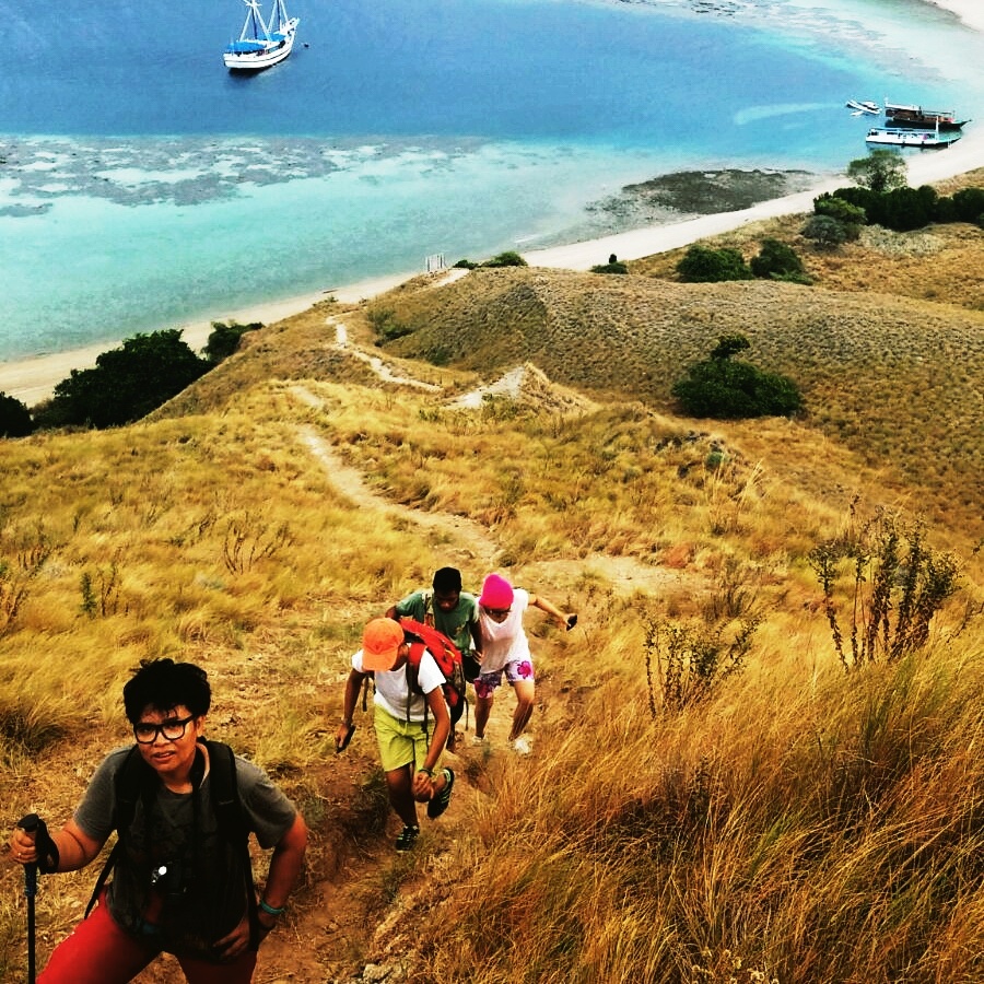 4 Hal yang Dapat dilakukan ketika Wisata ke Pulau Komodo di Nusa Tenggara Timur