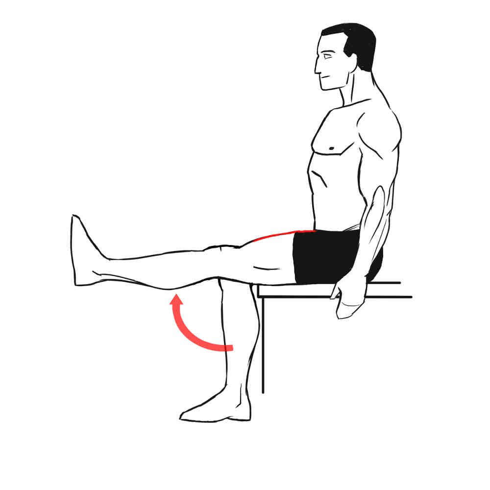 L extension. Упражнения на разгибание бедра. Упражнения для квадрицепса. Упражнения для разгибания коленного сустава. Разгибание голени лежа.
