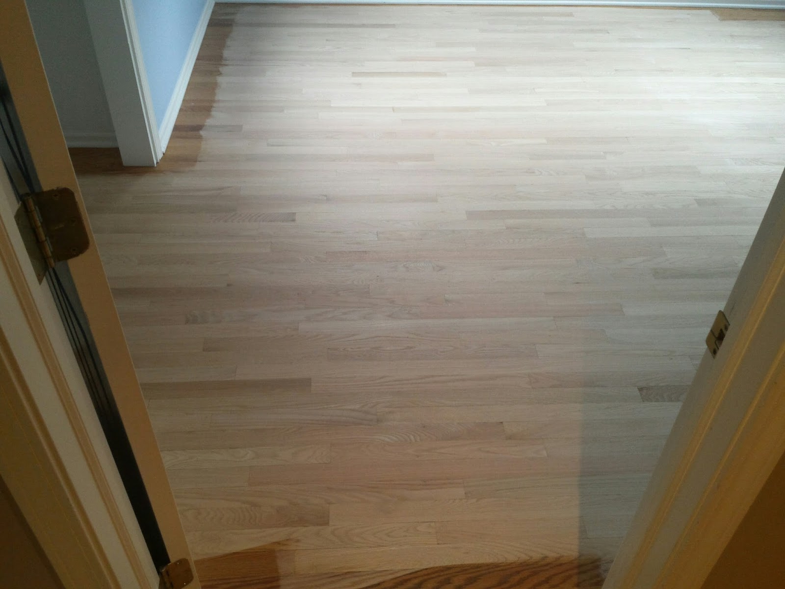 Staining Floors Jacobean Ebony Mix Home With Keki