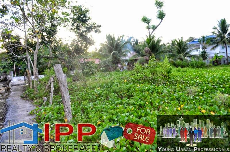 Properties Bohol Beach Lot for Sale in Alburquerque, Bohol
