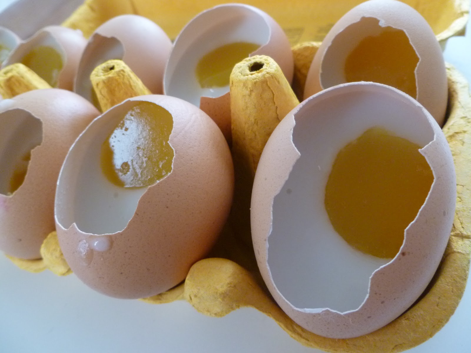 Life and Memories Trick or treats? Jelly Hard Boiled Eggs