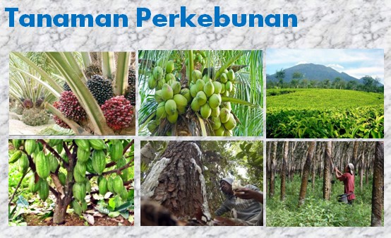 Potensi Geografis Indonesia