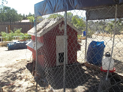harvest moon chicken coop 5