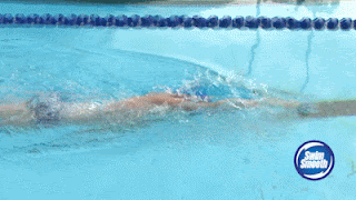 Gif of swimmer doing freestyle stroke drills, finger trail drill