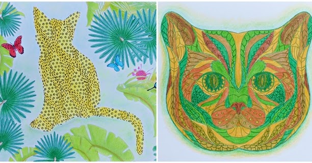 Coloring books fun: Jungle cats