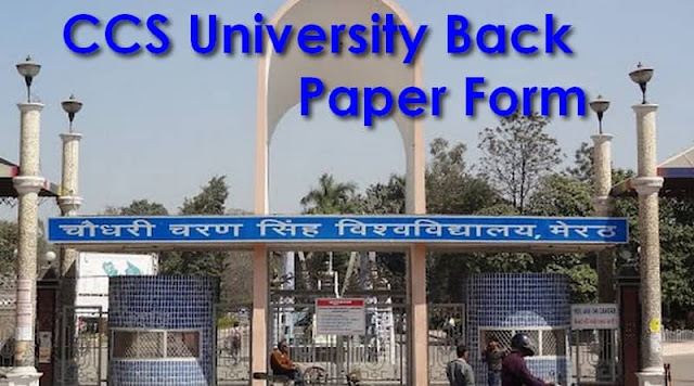 CCS University Back Paper Form CCS University Back Paper Form
