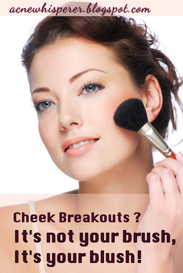 The Acne Whisperer Cheek Breakouts and the Blush Brush Conundrum