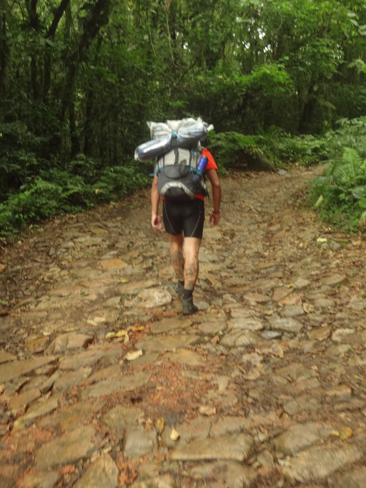 Subimos carregados - Subindo a trilha para Camping Marumbi - Coluna DE ROLÊ – 7 dicas para camping no Marumbi por um viajante de experiência “mediana-pra-boa” – por THIAGO GAVA