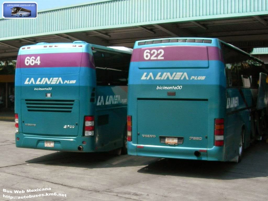 Situación Sur oeste compensación Autobuses de Jalisco - La Linea Plus @ Autobuses Digitales MX • Bus & Coach  Digital Imaging