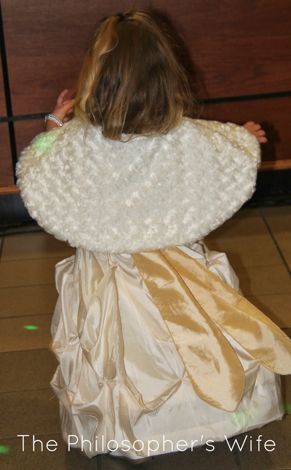 The Philosopher's Wife: A Sewing Project: Capes for Flower Girls