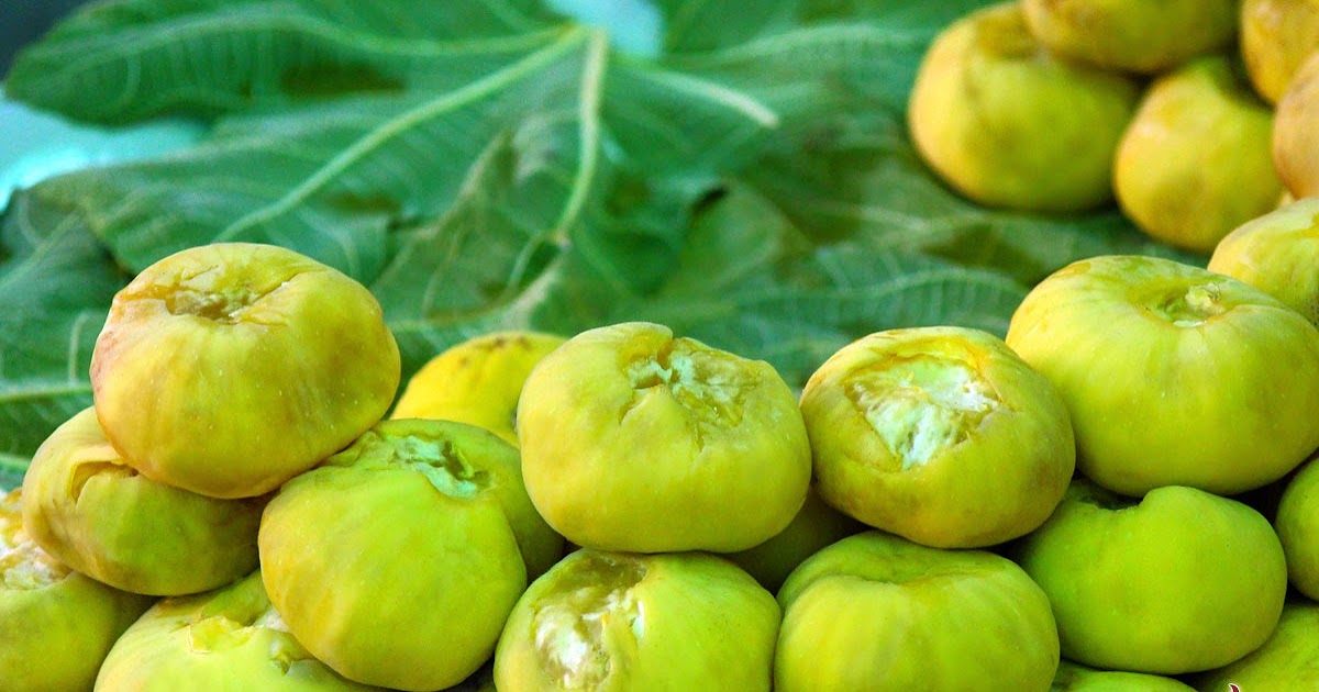 инжир вердино. сарик анжир. желтый инжир. инжир узбекистан. спелый желтый инжир.