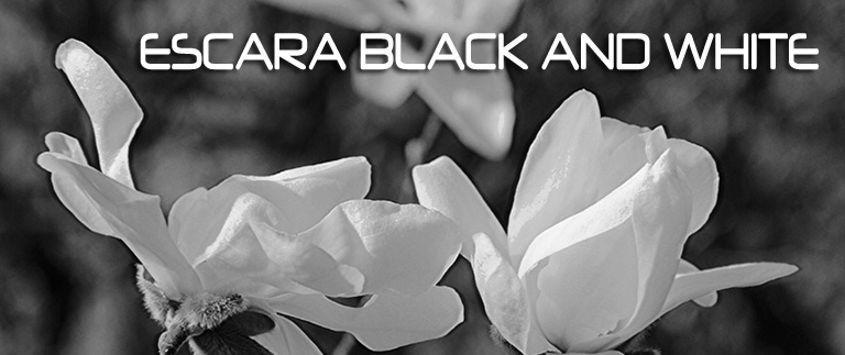 ESCARA  BLACK  AND  WHITE