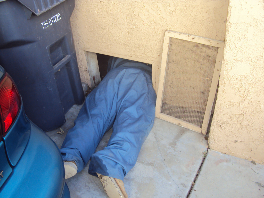 Animal Trapping Los Angeles Call All City Animal Trapping, For All