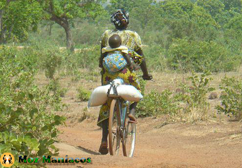 Bicicleta Para as Compras