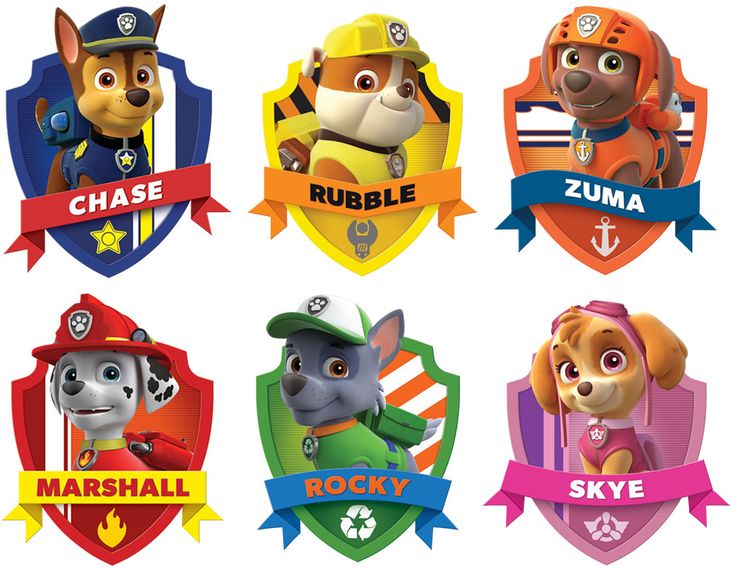 Alligevel syg den første History and Stuff: 12 Fun Facts about the PAW Patrol (Trivia)