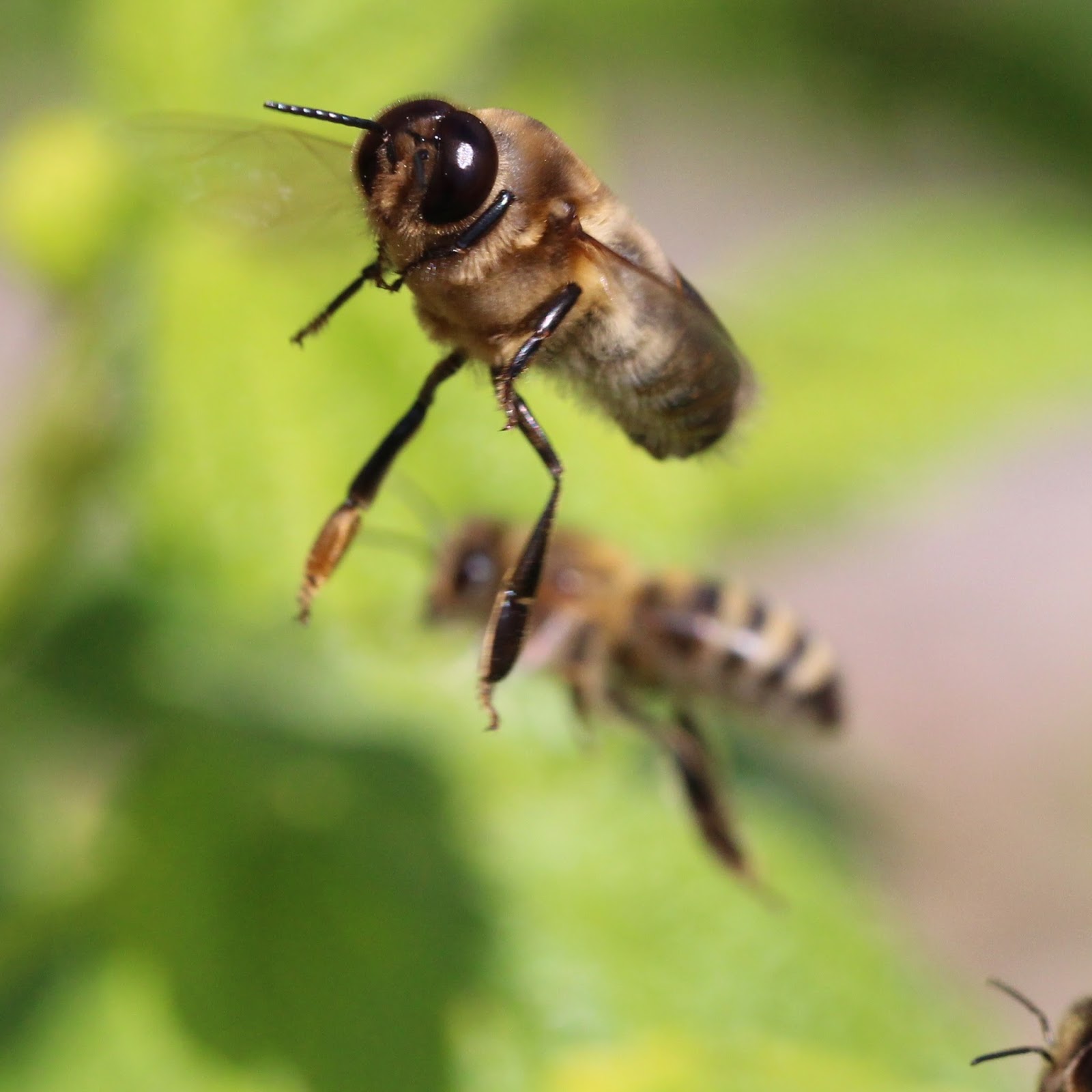TrogTrogBlog Flying drones