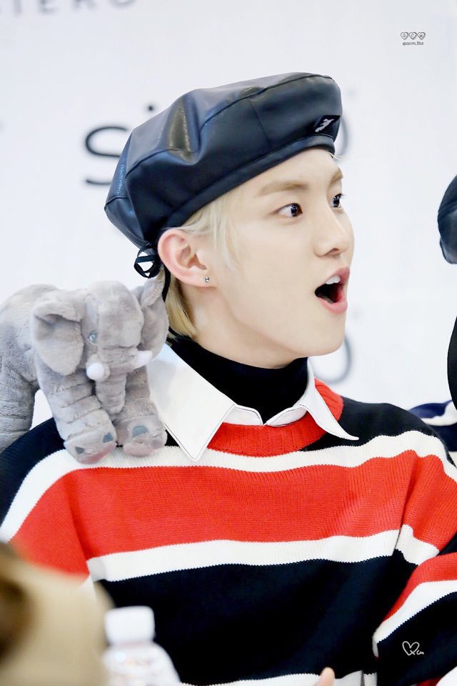 베레모 착장한 더보이즈 하드털이.jpgif | 인스티즈