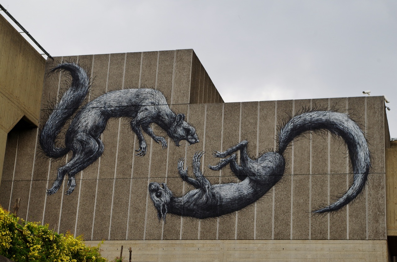 Roa Roa