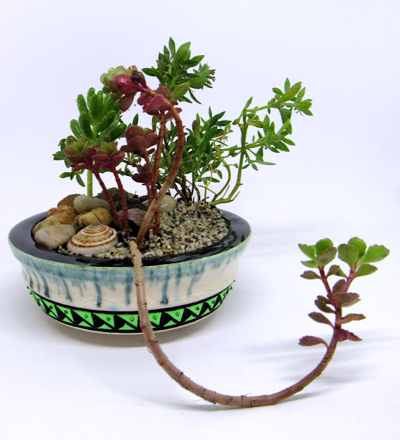 Handmade Custom Bonsai Pot by Ceramic Artist Matthew Kennedy