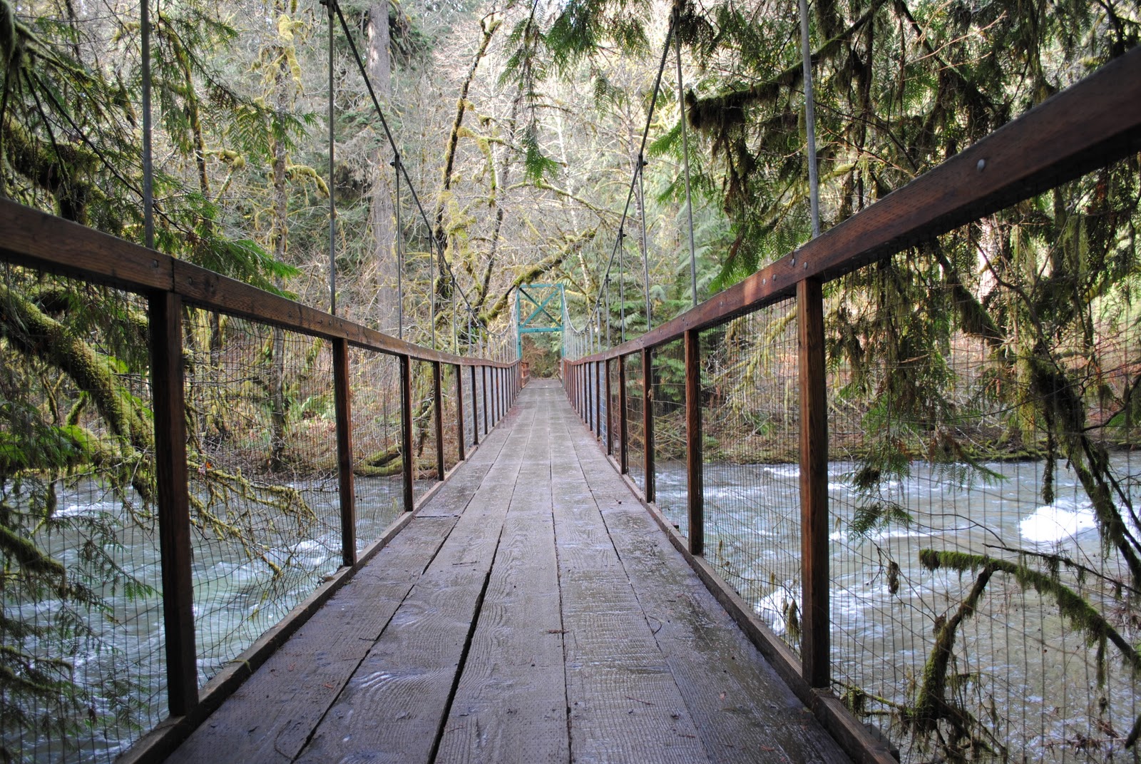 Black Watch Sasquatch Eagle Fern Park Estacada, Oregon