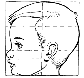 تقسيمات وجه الطفل