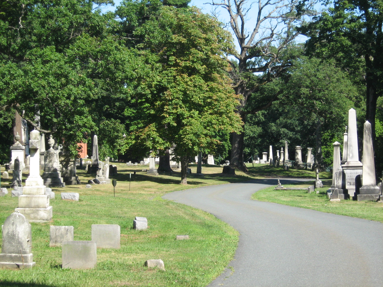 Albany Rural Cemetery Beyond The Graves The Rural Cemetery