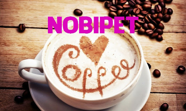nobipet-coffee-cua-hang-cafe-thu-cung-so-1-tai-da-nang