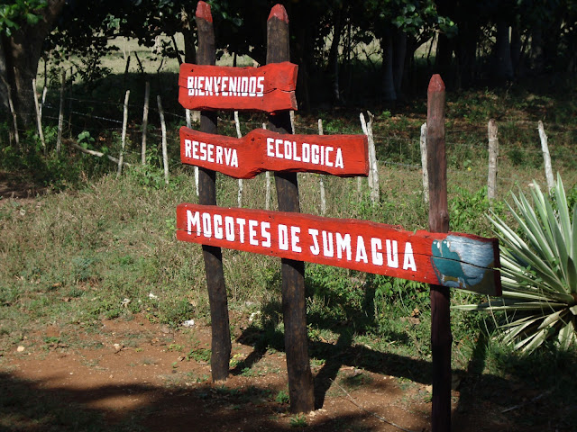 Sagua Viva Un paraiso en la llanura de Jumagüa