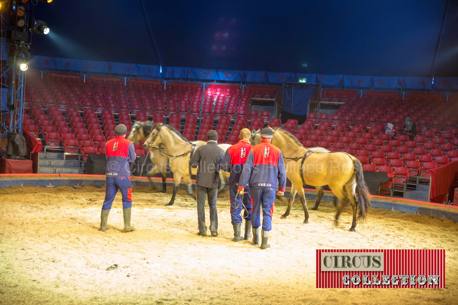 Fredy Knie junior, les palefreniers et les chevaux du Cirque Knie 