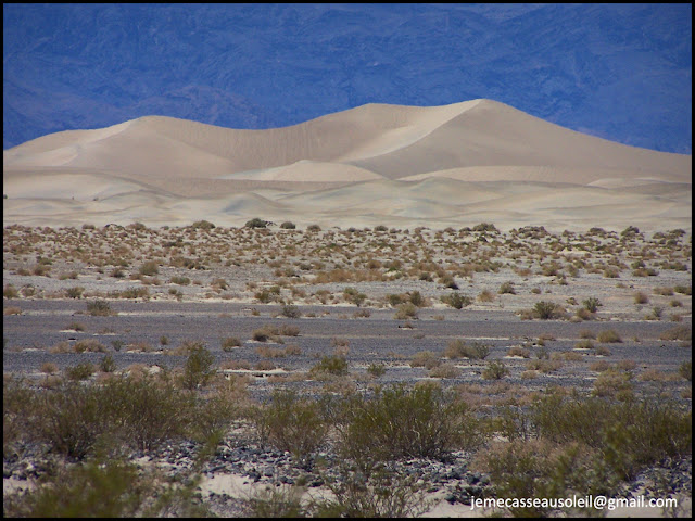 Dunes à Death Valley Dunes à Death Valley