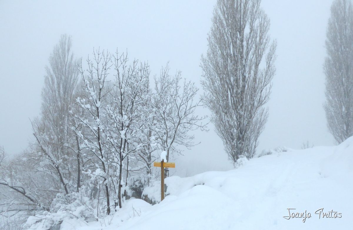 Cerca de casa Paluenga-Cerler